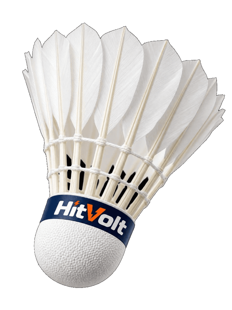 HitVolt feather shuttlecock
